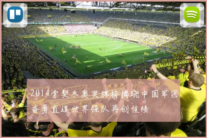 2014索契冬奥奖牌榜揭晓中国军团奋勇直追世界强队再创佳绩