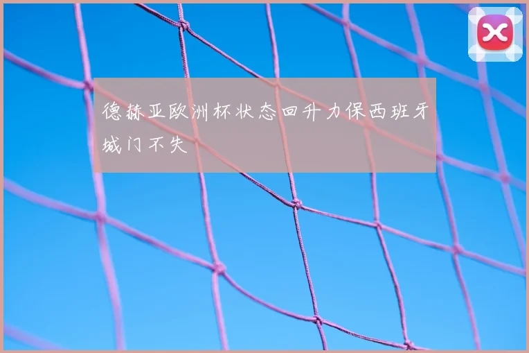 德赫亚欧洲杯状态回升力保西班牙城门不失